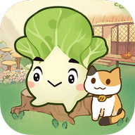 治愈小院