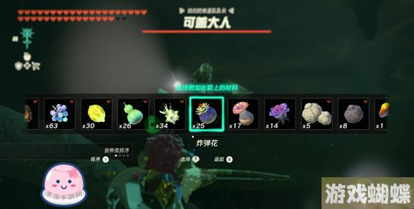 王国之泪可盖任务线流程攻略