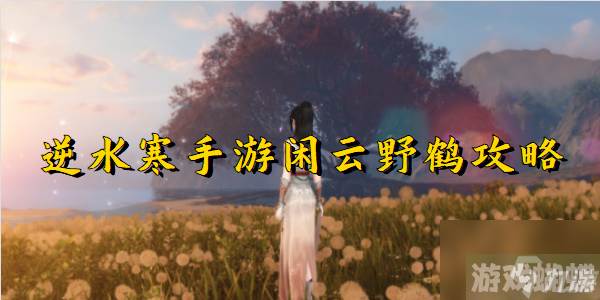 逆水寒手游闲云野鹤攻略