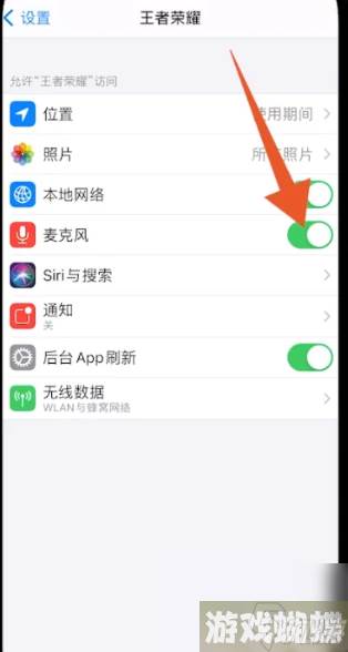 云游戏王者荣耀如何开麦克风权限 云游戏王者荣耀开麦克风权限攻略
