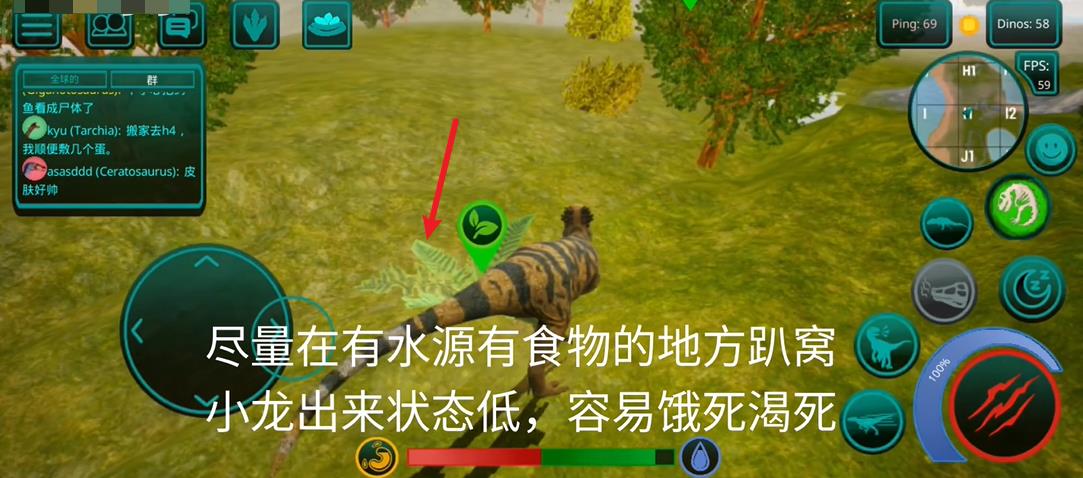 诅咒之岛国际服