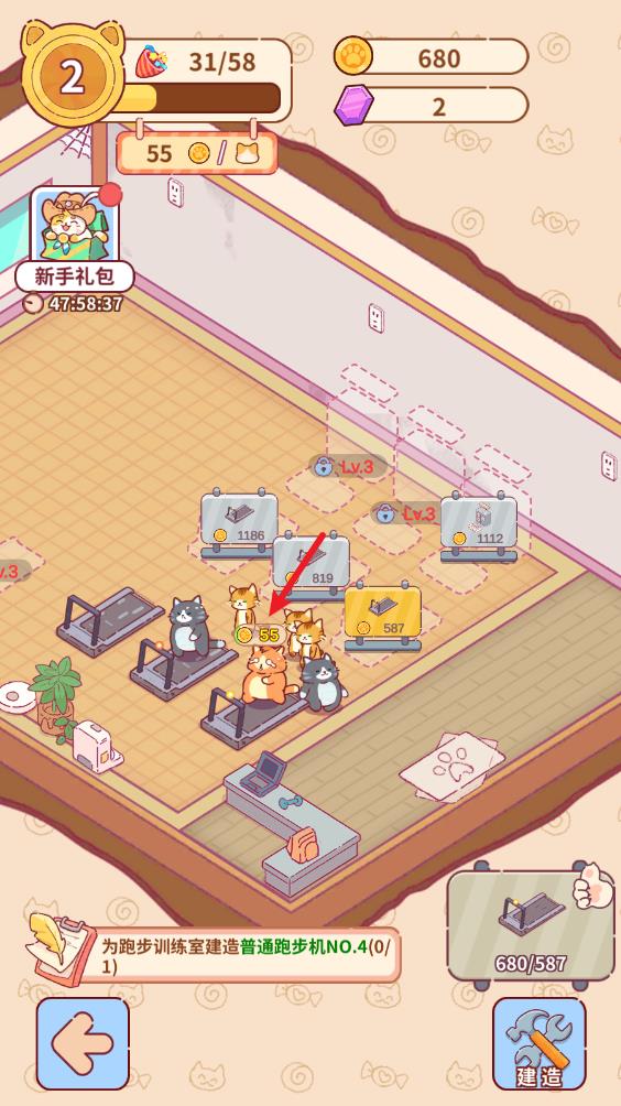 猫咪健身房