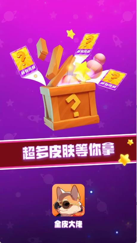 V10全皮大佬