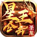 九鸿星王合击