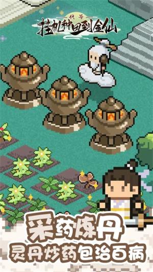 代号挂机种田到金仙