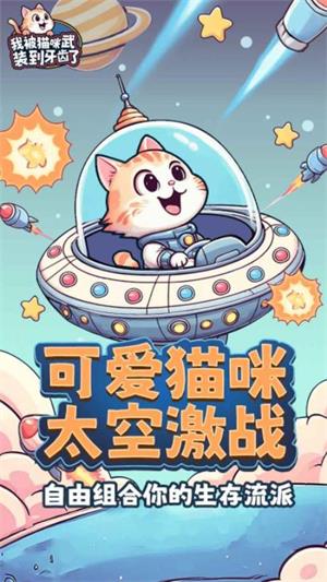 我被猫咪武装到牙齿了