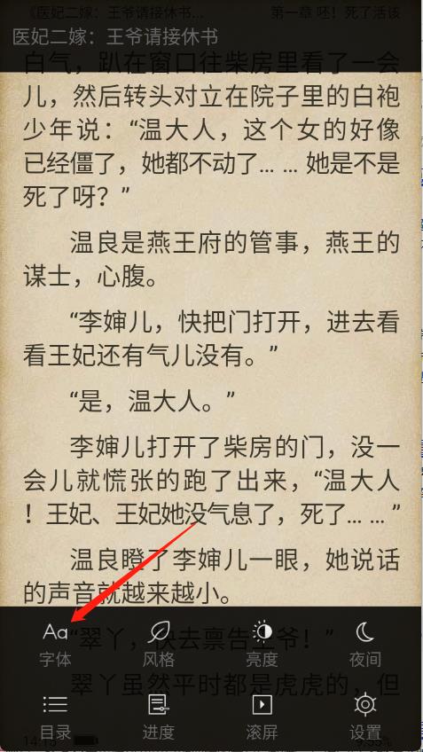 追阅小说