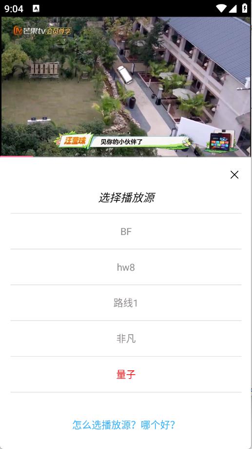 叶子影视