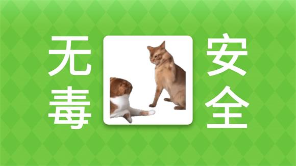 女巫的毒药猫meme版