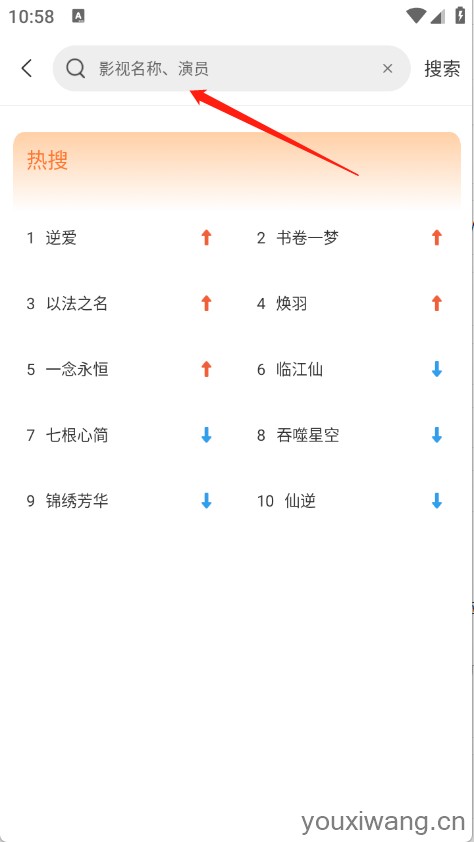 白天鹅