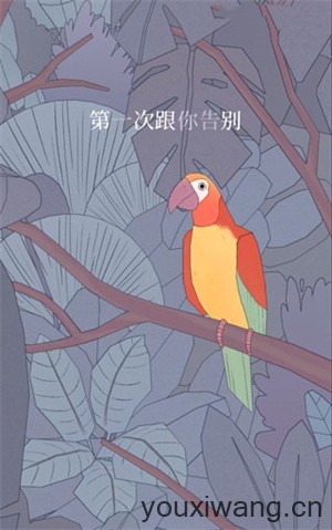 孤独的鸟儿最新版