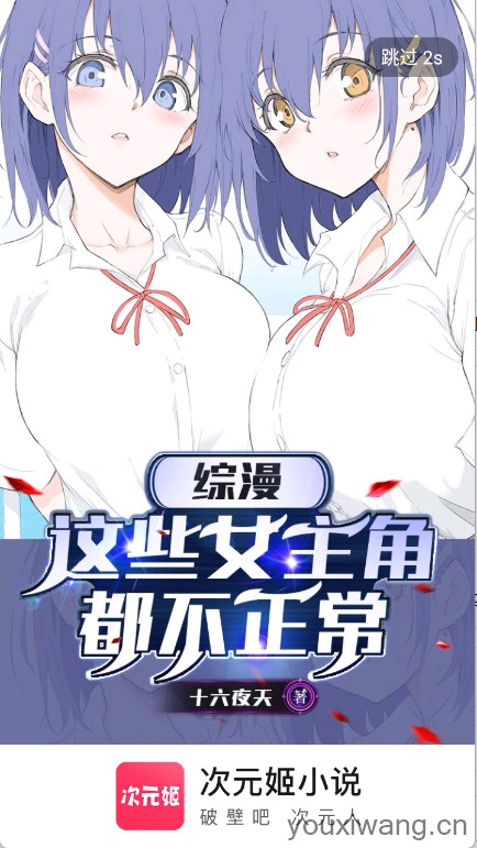 次元姬小说