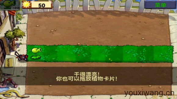 植物大战僵尸1经典版