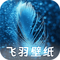 飞羽壁纸