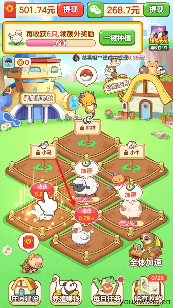 福运萌宠
