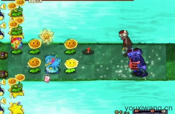 植物大战僵尸杨桃版