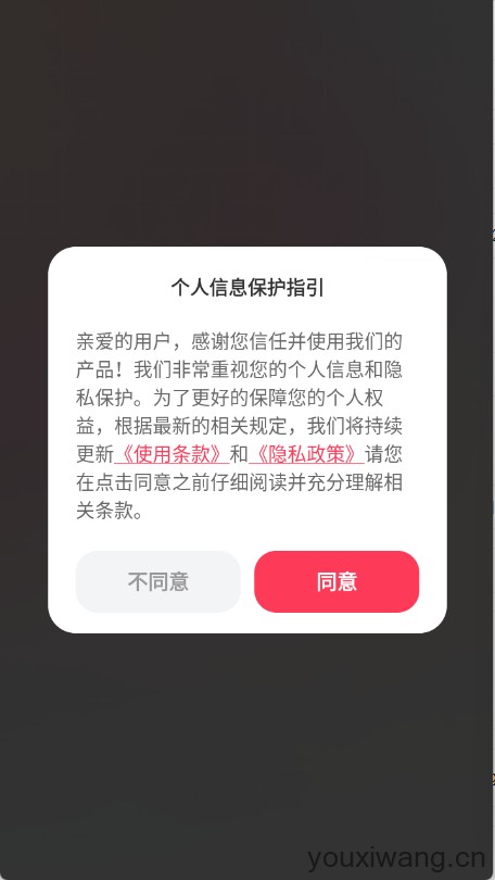 小红违禁词查询