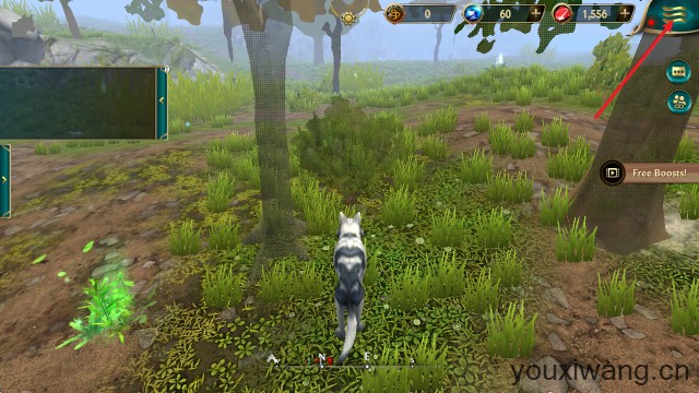 狼传说家园与爱心