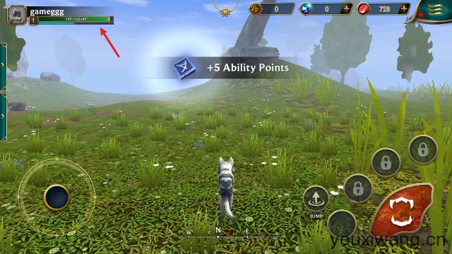 狼传说家园与爱心